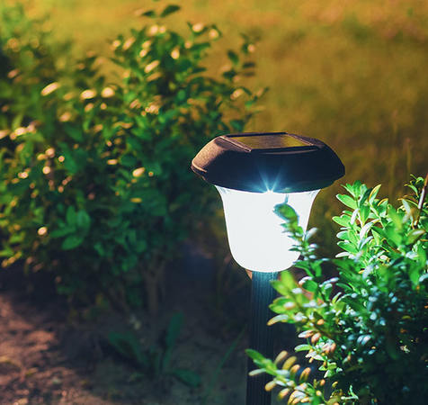 Zonnepadlicht